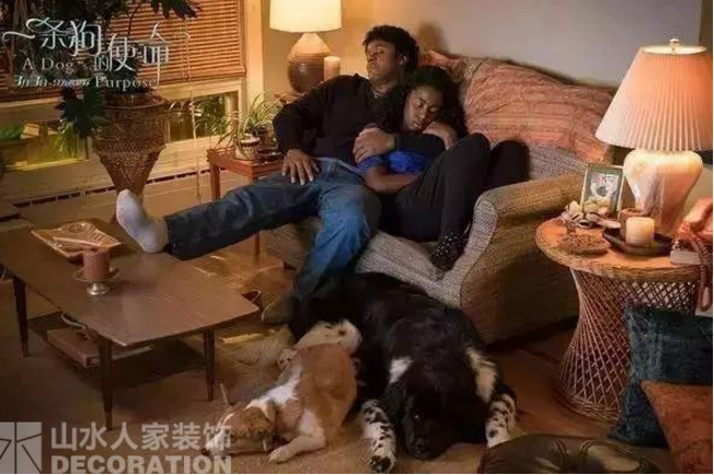 看電影.學(xué)裝修：因?yàn)橛心?，所以有意義